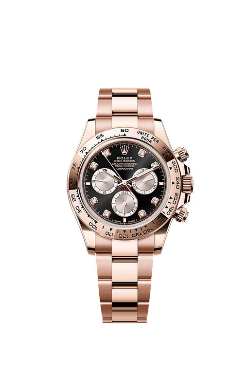 Rolex Daytona 126505 in 18kt Everose gold with sundust and black diamond-set dial and Oyster bracelet.