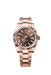 "Rolex Sky-Dweller 336935 Everose Gold 42mm with Chocolate Dial and Oyster Bracelet, showcasing its luxurious design and dual time zone functionality."