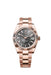 Rolex Sky-Dweller 336935 in 18 ct Everose gold with 42mm case, slate ombre dial, fluted bezel, and Oyster President bracelet.
