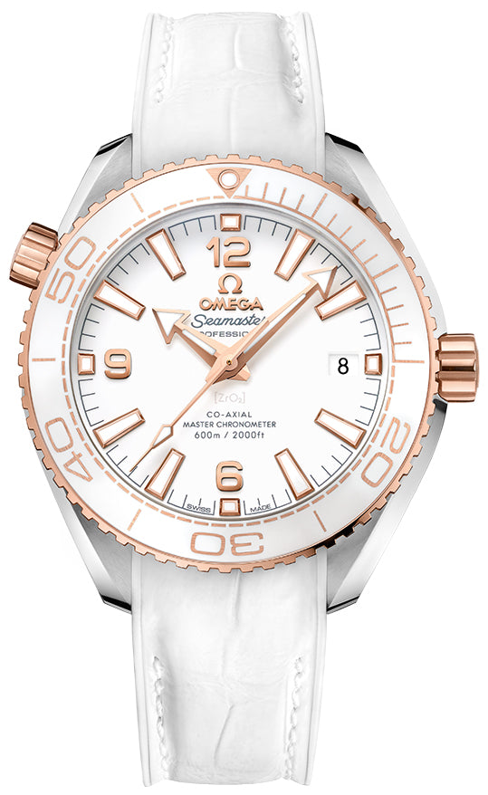 Omega Planet Ocean 600m Co-Axial Master Chronometer 39.5mm 215.23.40.20.04.001