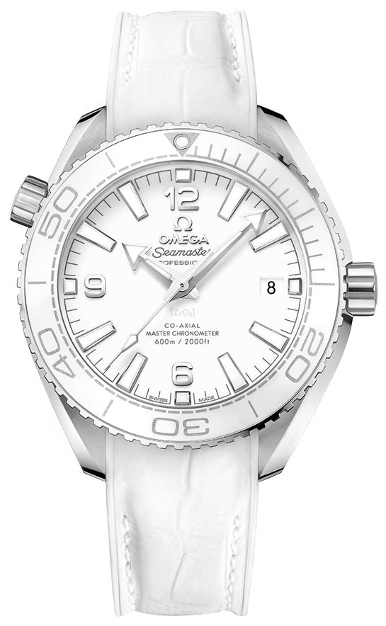 Omega Planet Ocean 600m Co-Axial Master Chronometer 39.5mm 215.33.40.20.04.001