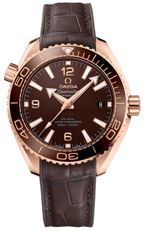 Omega Planet Ocean 600m Co-Axial Master Chronometer 39.5mm 215.63.40.20.13.001